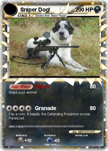 Pokemon Sniper Dog!