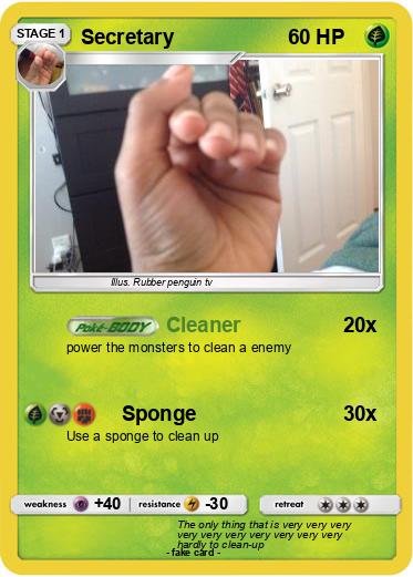 Pokemon Secretary