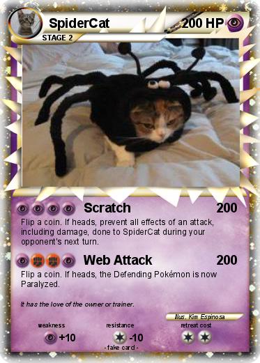 Pokemon SpiderCat