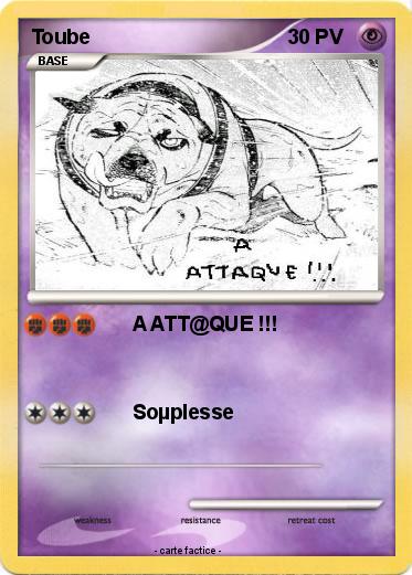 Pokemon Toube