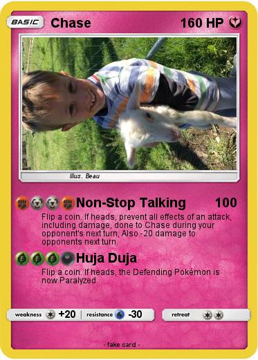 Pokemon Chase