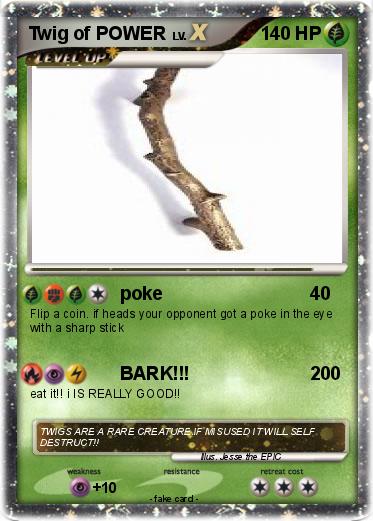 Pokemon Twig of POWER