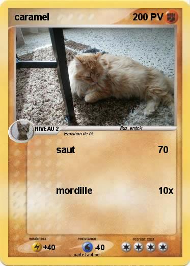 Pokemon caramel