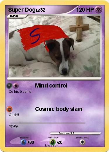 Pokemon Super Dog