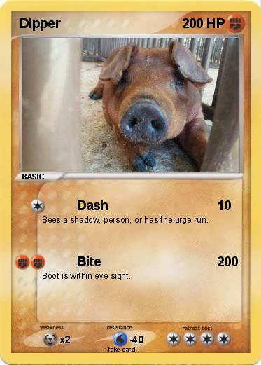 Pokemon Dipper