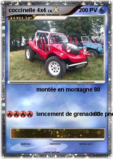Pokemon coccinelle 4x4