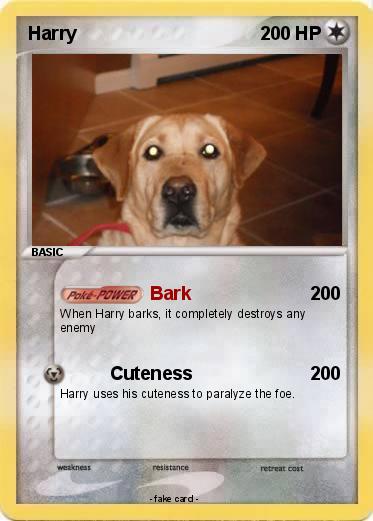 Pokemon Harry