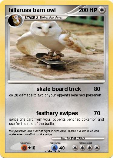Pokemon hillaruas barn owl