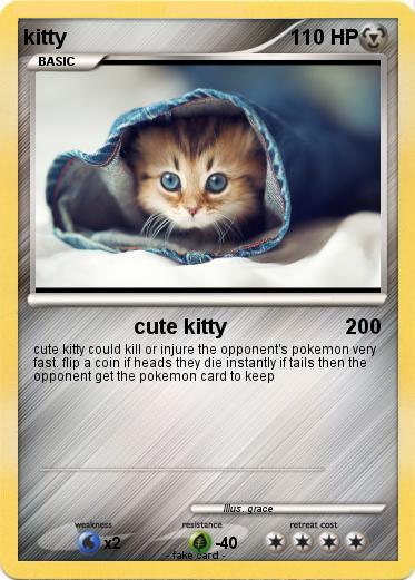 Pokemon kitty