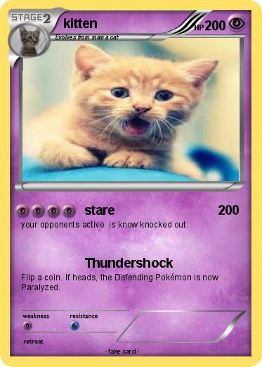 Pokemon kitten