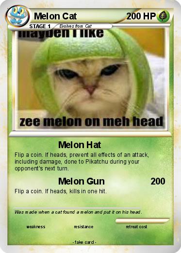 Pokemon Melon Cat
