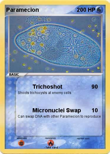 Pokemon Paramecion