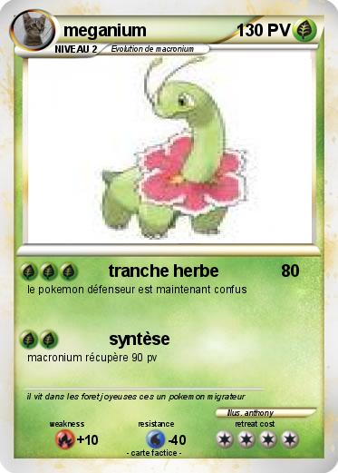 Pokemon meganium
