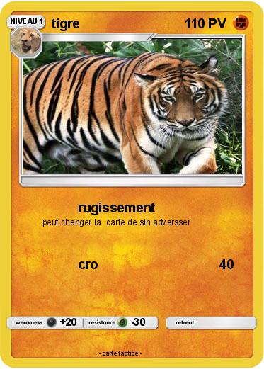 Pokemon tigre