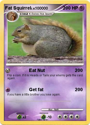 Pokemon Fat Squirrel
