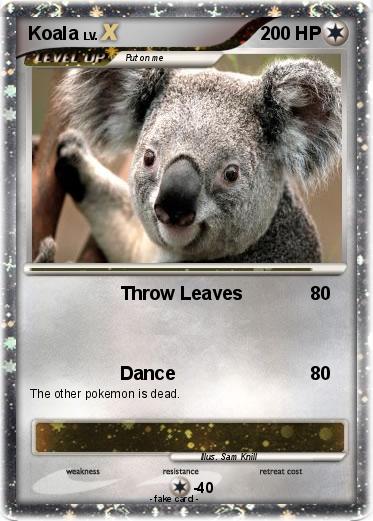 Pokemon Koala