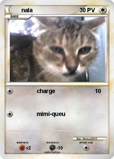Pokemon nala