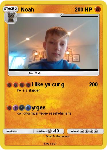 Pokemon Noah