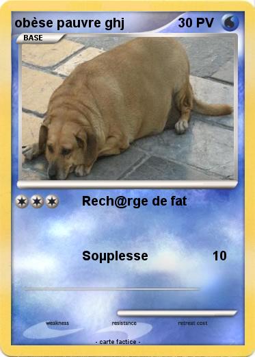 Pokemon obèse pauvre ghj