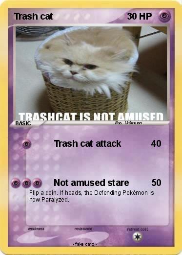 Pokemon Trash cat