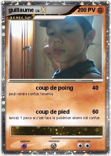 Pokemon guillaume