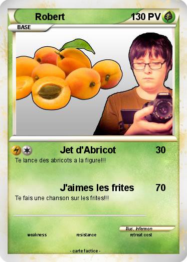Pokemon Robert