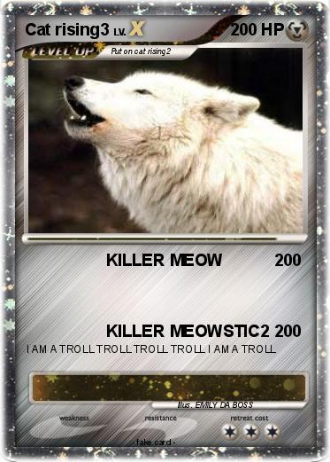 Pokemon Cat rising3