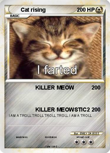 Pokemon Cat rising