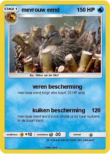Pokemon mevrouw eend