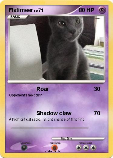 Pokemon Flatimeer