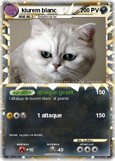 Pokemon kiurem blanc