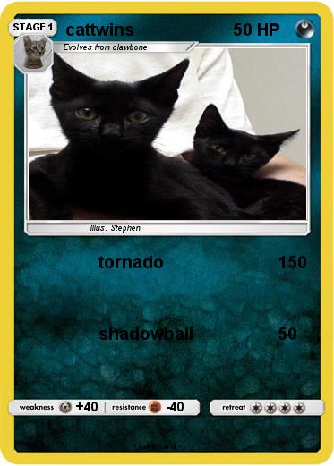 Pokemon cattwins