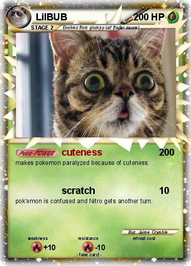 Pokemon LilBUB