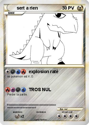 Pokemon sert a rien