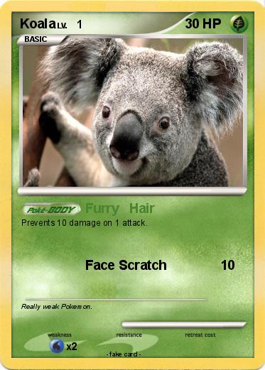 Pokemon Koala