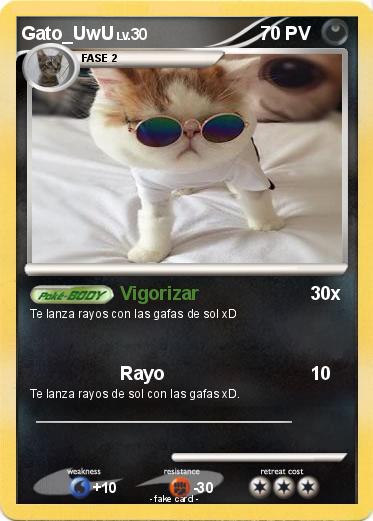 Pokemon Gato_UwU