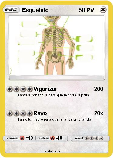 Pokemon Esqueleto
