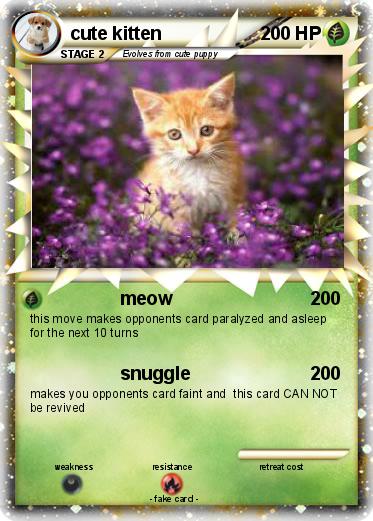 Pokemon cute kitten