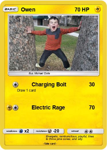 Pokemon Owen