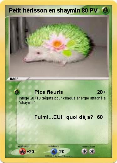 Pokemon Petit hérisson en shaymin