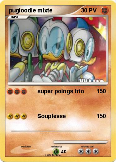 Pokemon pugloodle mixte