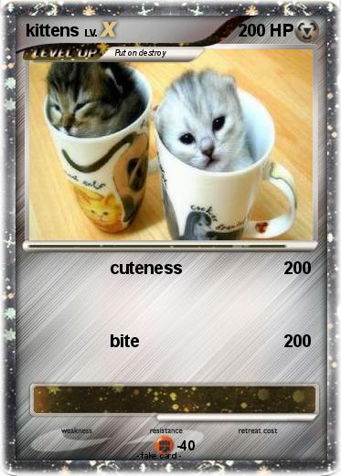 Pokemon kittens