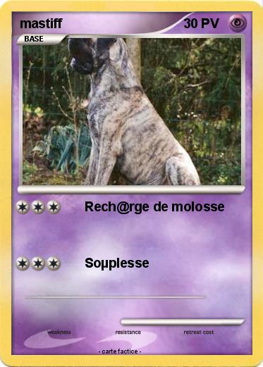 Pokemon mastiff