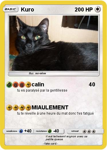 Pokemon Kuro