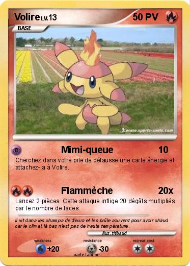 Pokemon Volire
