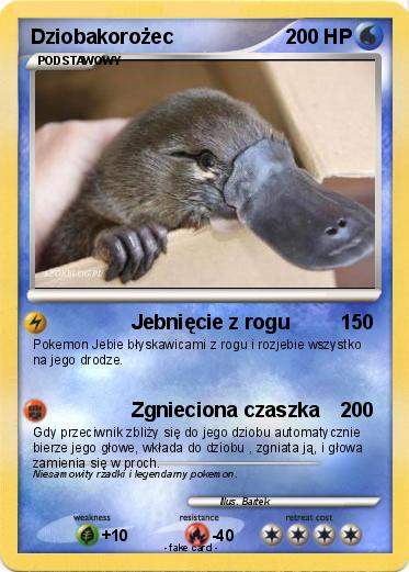 Pokemon Dziobakorożec