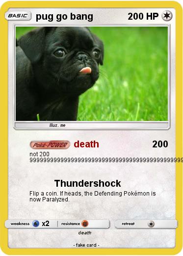 Pokemon pug go bang