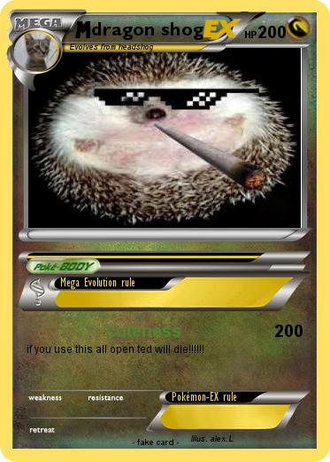 Pokemon dragon shog