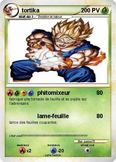 Pokemon tortika