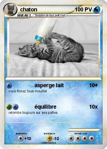 Pokemon chaton